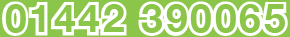 01442 390065